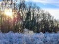 Ein Hauch von Frost – Machen Sie es zu Ihrem eigenen