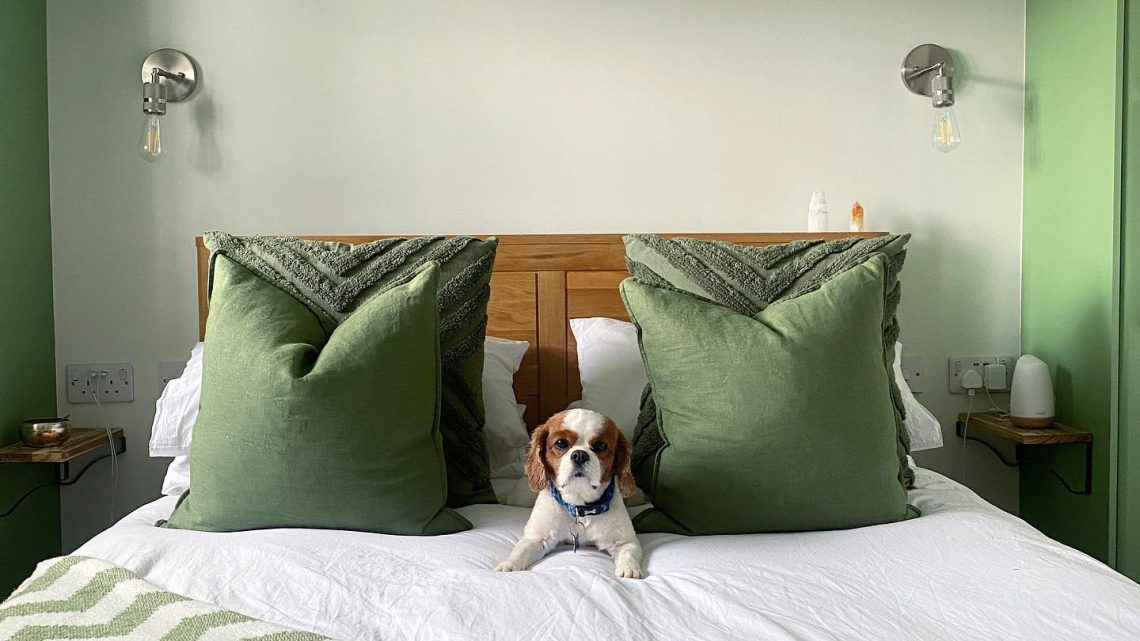 Effektive Beleuchtung für die schmale Küche: Die besten Deckenleuchten für Galley-Küchen