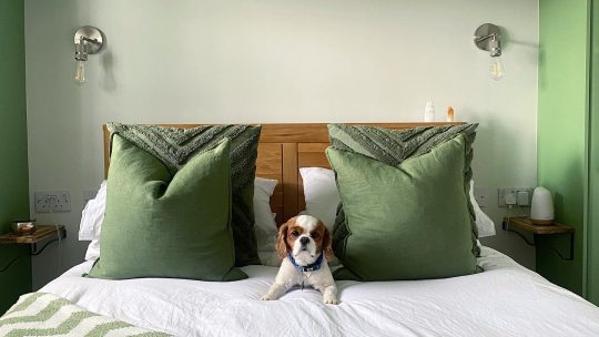 Effektive Beleuchtung für die schmale Küche: Die besten Deckenleuchten für Galley-Küchen